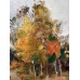 “Kyiv Autumn” – Original Oil Painting by Marina Stognieva